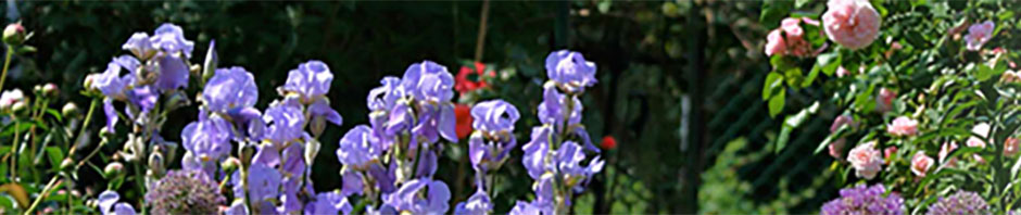 LaGuardia Corner Garden